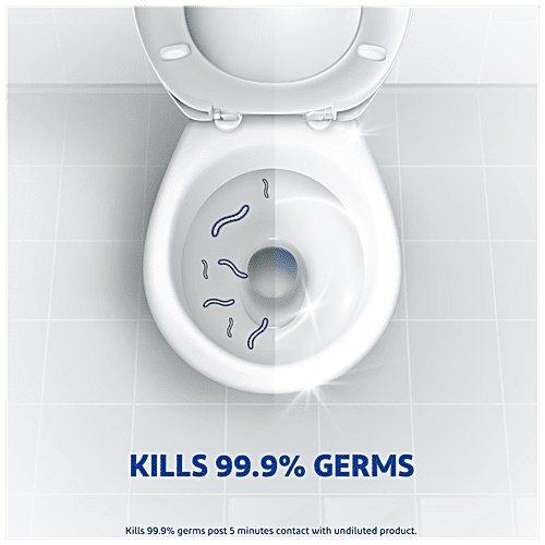 Lizol Double Concentrate Floor Cleaner 900 ml + Harpic Disinfectant Toilet Cleaner 1 L, Combo (Pack of 2) 