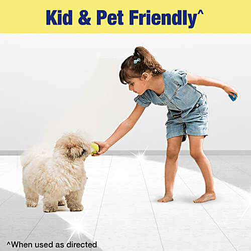 Lizol Disinfectant Surface & Floor Cleaner Liquid - Combo Citrus, 1.8 L + 2 L (2 Items) 