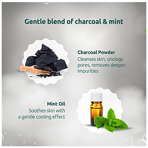 Buy Palmolive Bodywash Charcoal & Mint Shower Gel Online at Best Price of Rs 798 bigbasket