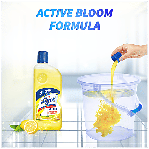 Lizol Disinfectant Surface & Floor Cleaner Liquid Floral 2 L + Citrus 500 ml, Combo 2 Items 