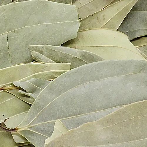 bb Royal Bay Leaf/Tej Patta, 3 x 20 g Multipack 