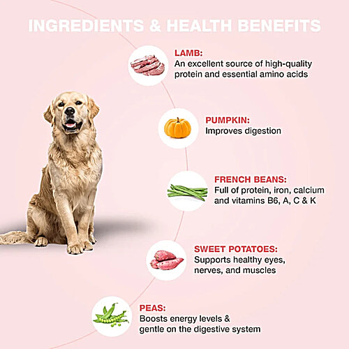 Benny's Bowl Grain Free Lamb & French Beans Wet Dog Food, 30x300 g (Multipack) 