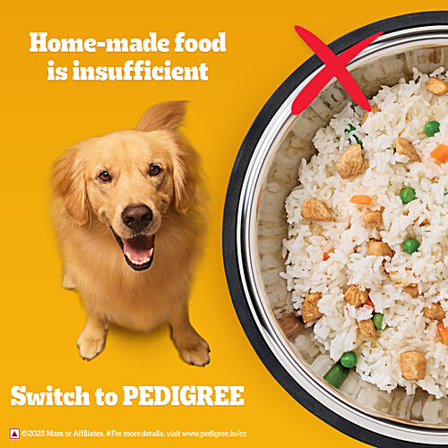 Pedigree Adult Dry Dog Food, Meat & Rice, 3 kg, 3 kg, 100% Complete & Balanced Food for Adult Dogs, 3 kg Healthy Muscles & Bones, Healthy Digestive System, Shinier Coat, High Quality Protein & Calcium