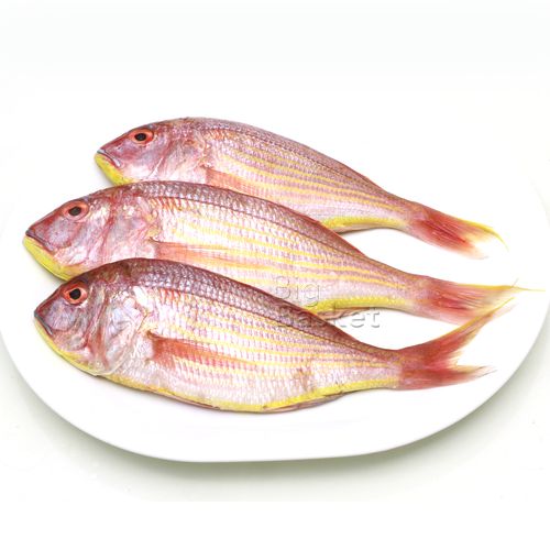 Buy Fresho Pink Perch Fish - Cleaned & Whole 500 gm Tray Online at