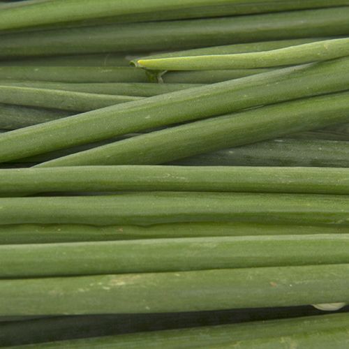 Fresho Spring Onion - With roots, 1 pc (Approx. 100 g) 