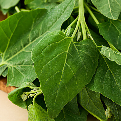 fresho! Amaranthus - Thotakura/Thotakura, 100 g  High Content of Vitamins & Minerals