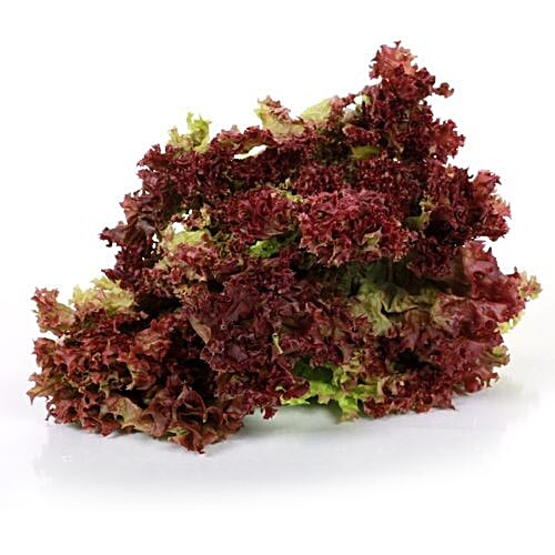 Buy Fresho Lettuce Red 250 Gm Online at the Best Price of Rs 42 bigbasket