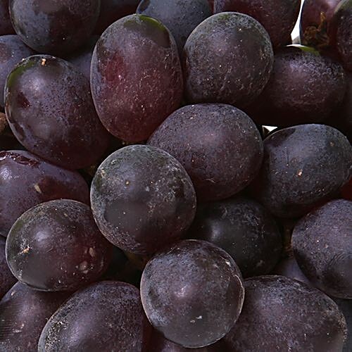 Buy Fresho Grapes Bangalore Blue 1 Kg Online At Best Price of Rs 101.47