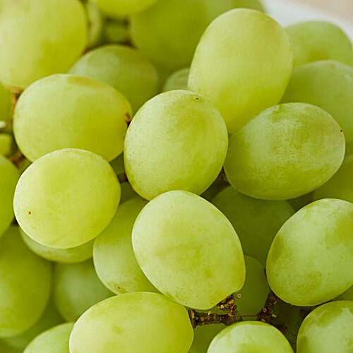 fresho! Thompson Seedless Grapes, 1 kg  Rich in Vitamin A, C, K