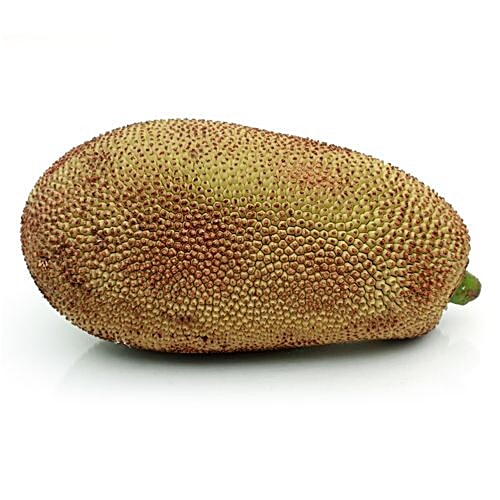 Buy Fresho Tender Jackfruit 1 Pc Online at the Best Price of Rs 54 bigbasket