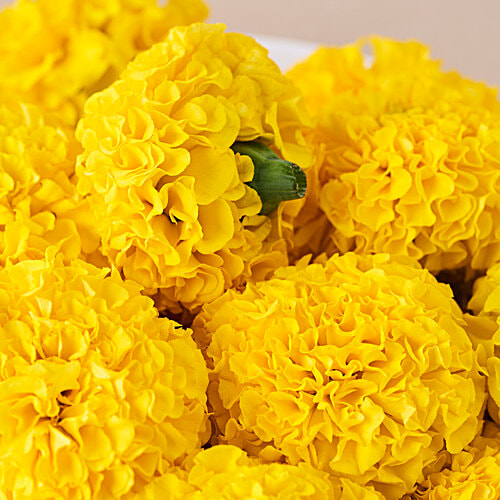 fresho! Marigold Flower - Yellow, 250 g  
