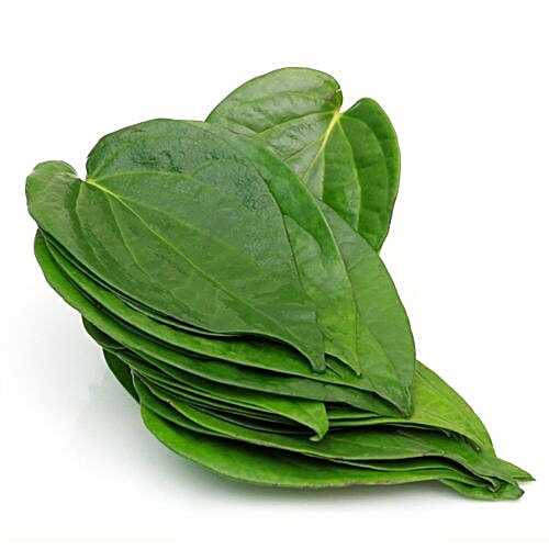 Fresho Betel Leaf, 10 pcs  