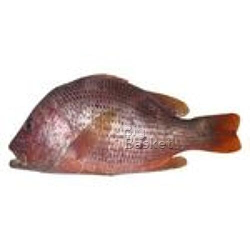 fresho! Red Snapper Fish (Medium) - Curry Cut/Bengali Cut, 1 kg  