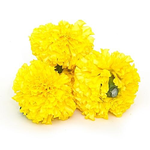 Buy Fresho Marigold Yellow 1 Kg Online At Best Price of Rs 60 bigbasket