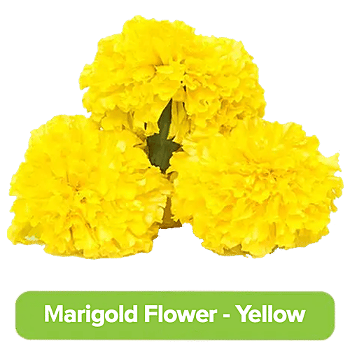 Buy Fresho Marigold Yellow 1 Kg Online At Best Price of Rs 146 bigbasket