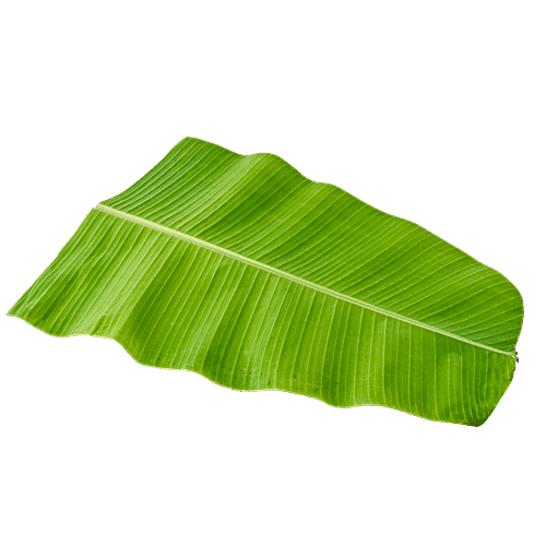 fresho! Banana Leaf, 1 pc  
