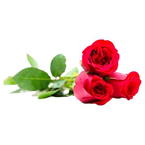 Buy Fresho Rose Red 1 Pc Online at the Best Price of Rs 48 - bigbasket