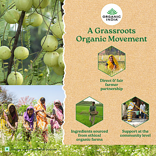 Organic India Tulsi Green Tea - Pomegranate, Certified Organic, 50 g (25 Bags x 2 g each) Stress Relieving