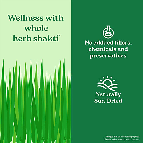 Organic India Wheat Grass Powder - Naturally Contains Chlorophyll, 100 g Tin