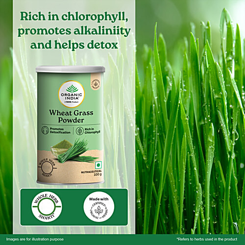Organic India Wheat Grass Powder - Naturally Contains Chlorophyll, 100 g Tin