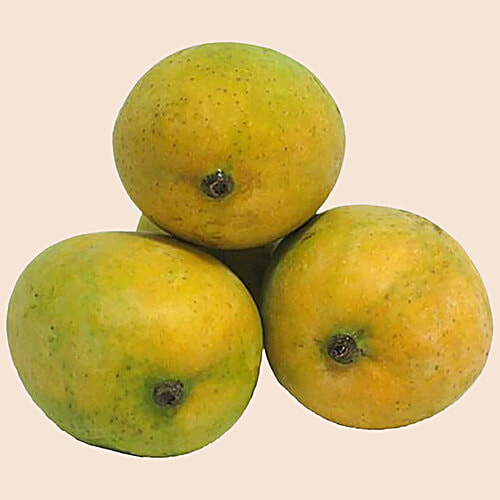 fresho! Amrapali Mango, 1 kg  