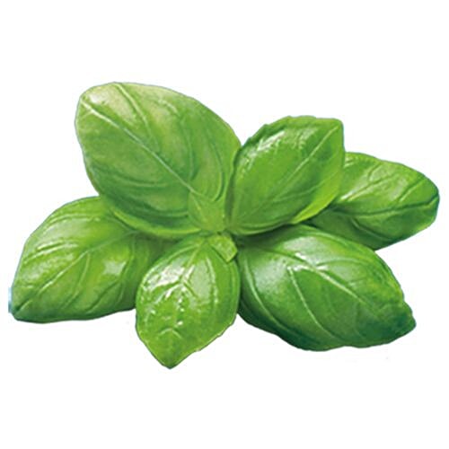 Barilla Pasta Sauce - Pesto Genovese, 190 g Jar 