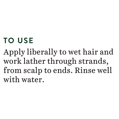 BIOTIQUE Anti Hair Fall Shampoo - Ocean Kelp, Intensive Hair Regrowth Treatment, 190 ml  100% Botanical Extracts