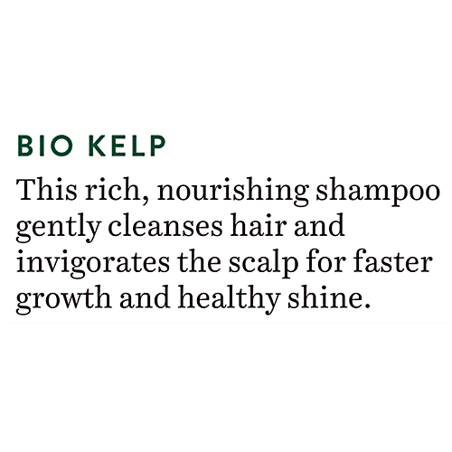 BIOTIQUE Anti Hair Fall Shampoo - Ocean Kelp, Intensive Hair Regrowth Treatment, 190 ml  100% Botanical Extracts