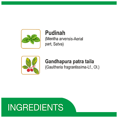 Amrutanjan Strong Pain Balm, 50 ml  