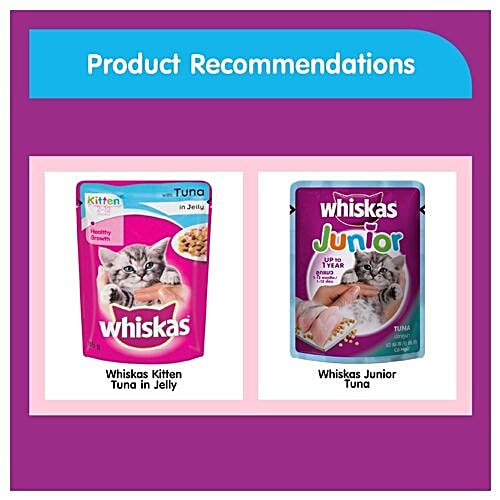 Whiskas Junior Pet Food - Ocean Fish Flavor (Up to 1 Year), 1.1 kg  