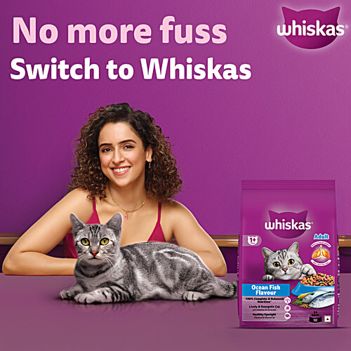 Whiskas Adult (1+ Years) Dry Cat Food, Ocean Fish Flavour, 480 g, Contains 41 Essential Nutrients, Complete & Balanced Nutrition, 480 g  100% Complete & Balanced Nutrition, Lively & Energetic Cat, Healthy Eyesight