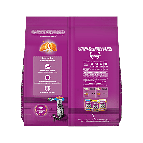 Whiskas Adult (1+ Years) Dry Cat Food, Ocean Fish Flavour, 480 g, Contains 41 Essential Nutrients, Complete & Balanced Nutrition, 480 g  100% Complete & Balanced Nutrition, Lively & Energetic Cat, Healthy Eyesight