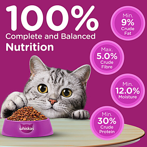 Whiskas Adult (1+ Years) Dry Cat Food, Ocean Fish Flavour, 480 g, Contains 41 Essential Nutrients, Complete & Balanced Nutrition, 480 g  100% Complete & Balanced Nutrition, Lively & Energetic Cat, Healthy Eyesight