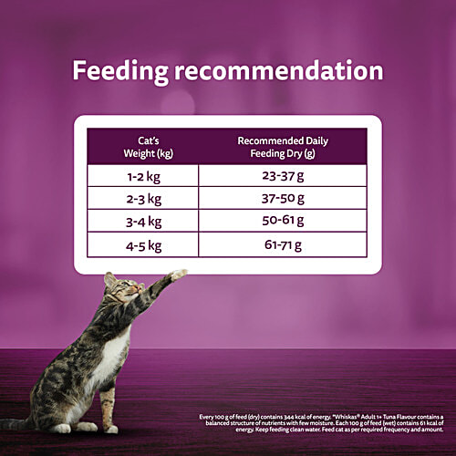 Whiskas Adult (1+ Years) Dry Cat Food, Ocean Fish Flavour, 480 g, Contains 41 Essential Nutrients, Complete & Balanced Nutrition, 480 g  100% Complete & Balanced Nutrition, Lively & Energetic Cat, Healthy Eyesight