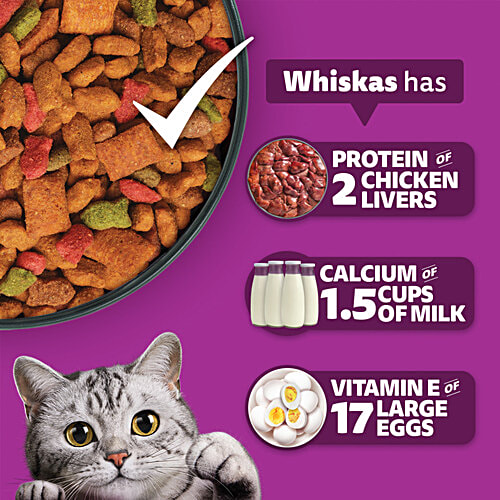 Whiskas Adult (1+ Years) Dry Cat Food, Ocean Fish Flavour, 480 g, Contains 41 Essential Nutrients, Complete & Balanced Nutrition, 480 g  100% Complete & Balanced Nutrition, Lively & Energetic Cat, Healthy Eyesight