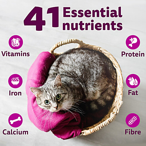 Whiskas Adult (1+ Years) Dry Cat Food, Ocean Fish Flavour, 480 g, Contains 41 Essential Nutrients, Complete & Balanced Nutrition, 480 g  100% Complete & Balanced Nutrition, Lively & Energetic Cat, Healthy Eyesight