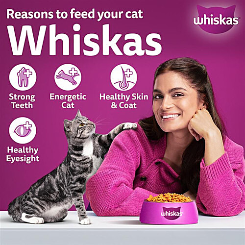 Whiskas Adult (1+ Years) Dry Cat Food, Ocean Fish Flavour, 480 g, Contains 41 Essential Nutrients, Complete & Balanced Nutrition, 480 g  100% Complete & Balanced Nutrition, Lively & Energetic Cat, Healthy Eyesight
