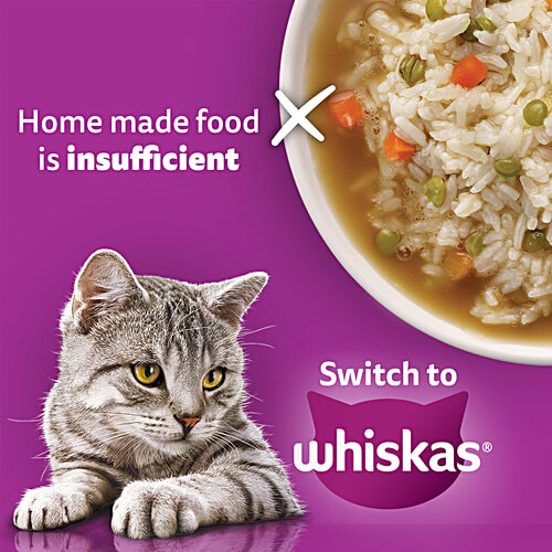 Whiskas Adult (1+ Years) Dry Cat Food, Ocean Fish Flavour, 480 g, Contains 41 Essential Nutrients, Complete & Balanced Nutrition, 480 g  100% Complete & Balanced Nutrition, Lively & Energetic Cat, Healthy Eyesight