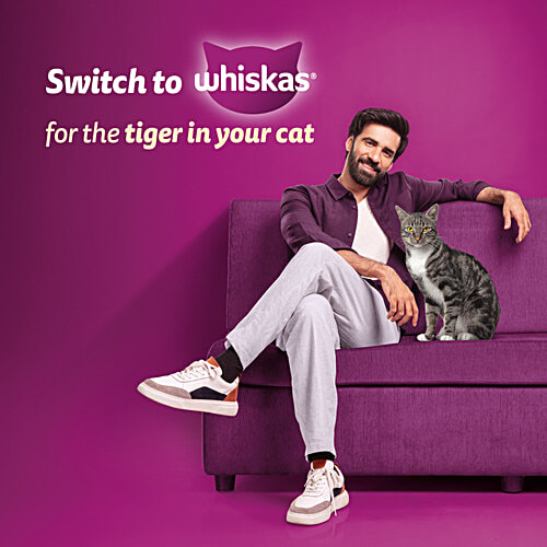 Whiskas Adult (1+ Years) Dry Cat Food, Ocean Fish Flavour, 480 g, Contains 41 Essential Nutrients, Complete & Balanced Nutrition, 480 g  100% Complete & Balanced Nutrition, Lively & Energetic Cat, Healthy Eyesight