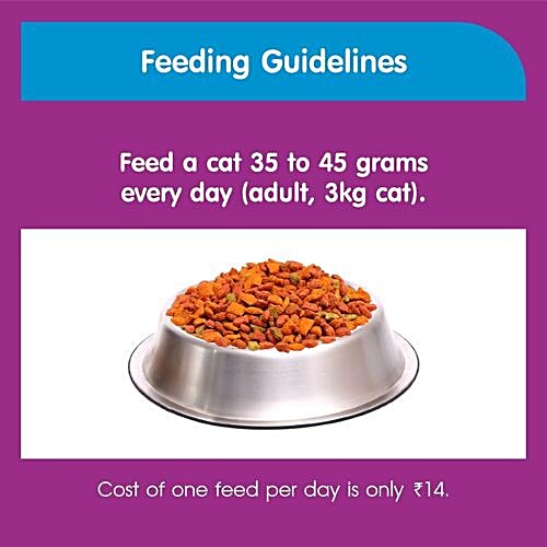 Whiskas Dry Cat Food - Ocean Fish Flavour, For Adult Cats, +1 Year, 1.2 kg  