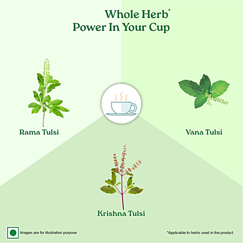 Organic India Tulsi Green Tea Classic, 43.5 g (25 Bags x 1.74 g each) 