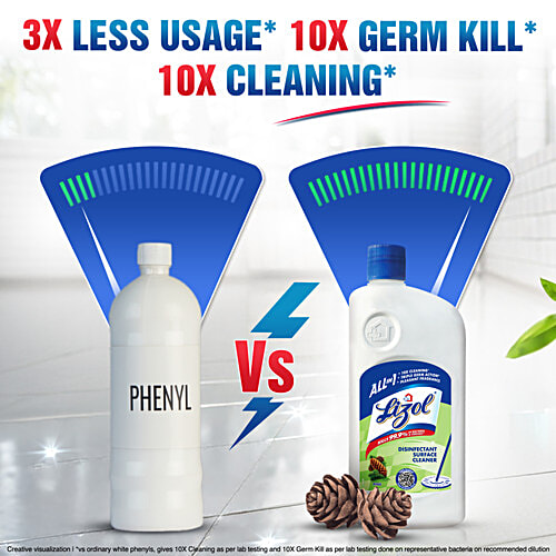 Lizol Disinfectant Surface & Floor Cleaner - Pine, 500 ml