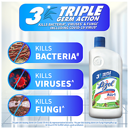 Lizol All In 1 Disinfectant Surface & Floor Cleaner - Pine, Kills 99.9% Germs, 975 ml  