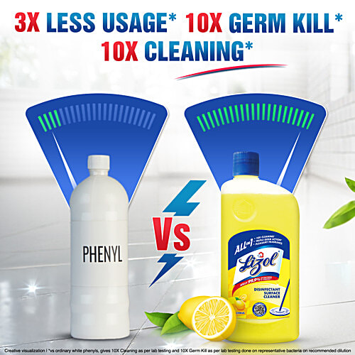 Lizol Disinfectant Surface & Floor Cleaner - Citrus, 500 ml  
