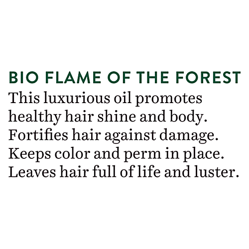 BIOTIQUE Intense Repair Hair Oil - Flame Of Forest, For Dry, Damaged/Colour Treated Hair, 120 ml Carton Ayurvedic Recipe