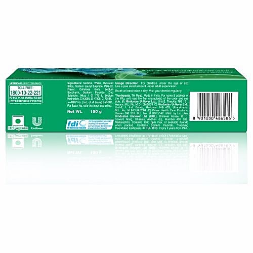Buy Close Up Active Zinc Menthol Chill Toothpaste 150 Gm Online at the