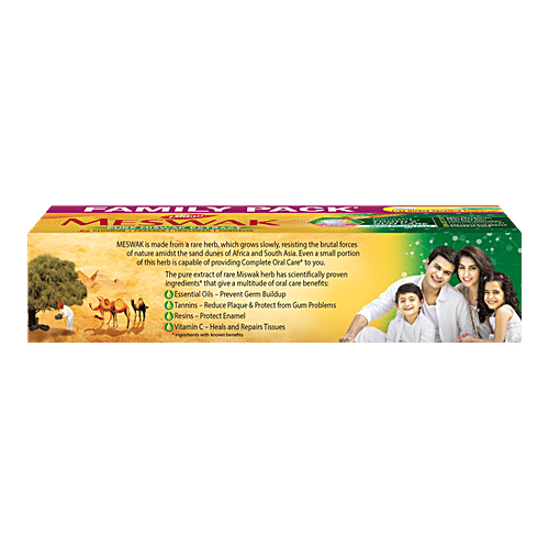Dabur Meswak Toothpaste, with Free Toothbrush - For Complete Gum Care, Paraben & Fluoride Free, 300g  