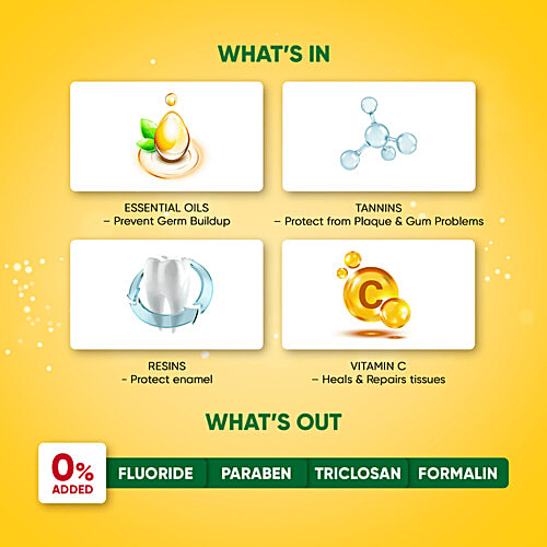 Dabur Meswak Toothpaste, with Free Toothbrush - For Complete Gum Care, Paraben & Fluoride Free, 300g  