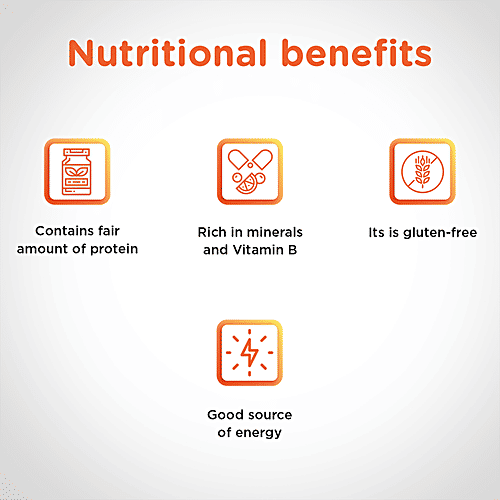 24 Mantra Organic Flour - Rice, 500 g Pouch 