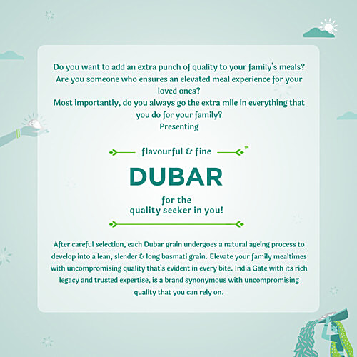 India Gate Basmati Rice/Basmati Akki - Dubar, 1 kg Pouch 